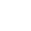 TEAM VITALITY